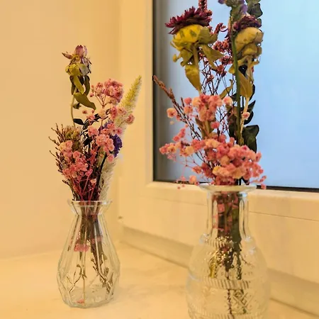 Apartman Stilvolle Design- Im Herzen Von Frauenstein - Ruhe, & Wein *